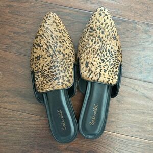 Splendid Liza slide - 9.5